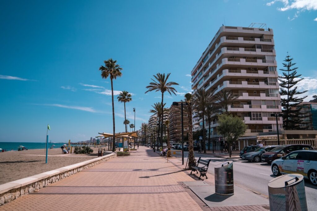 a street lined with palm trees next to a beach