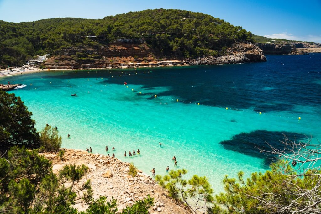 a group of people swimming in a blue ocean