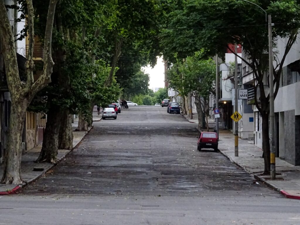 Tree-lined street with parked cars and buildings.