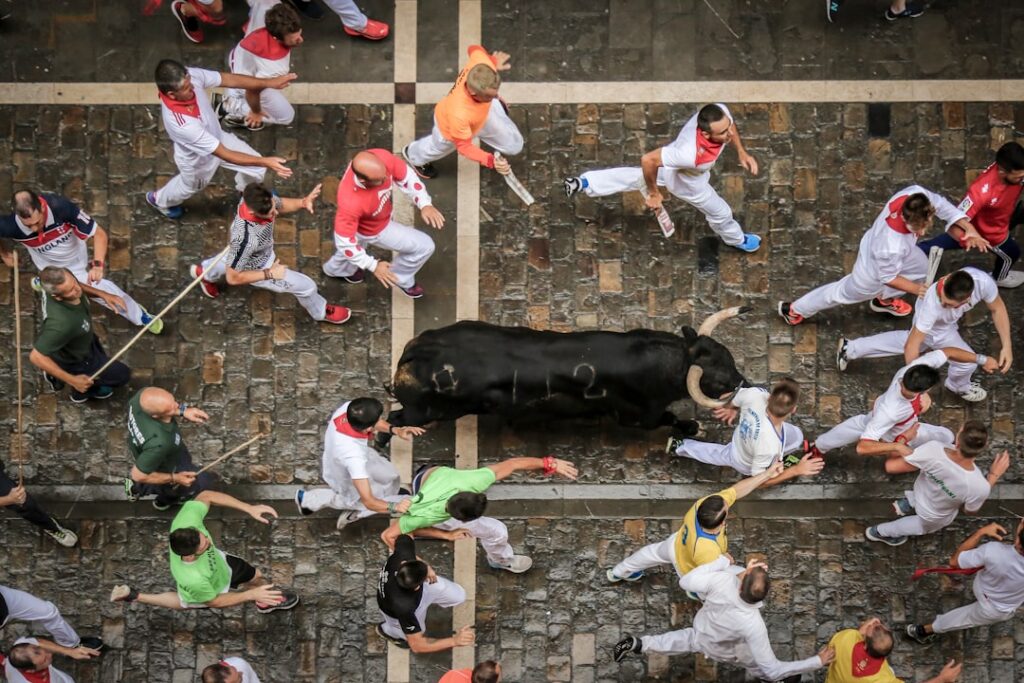 black buffalo on street