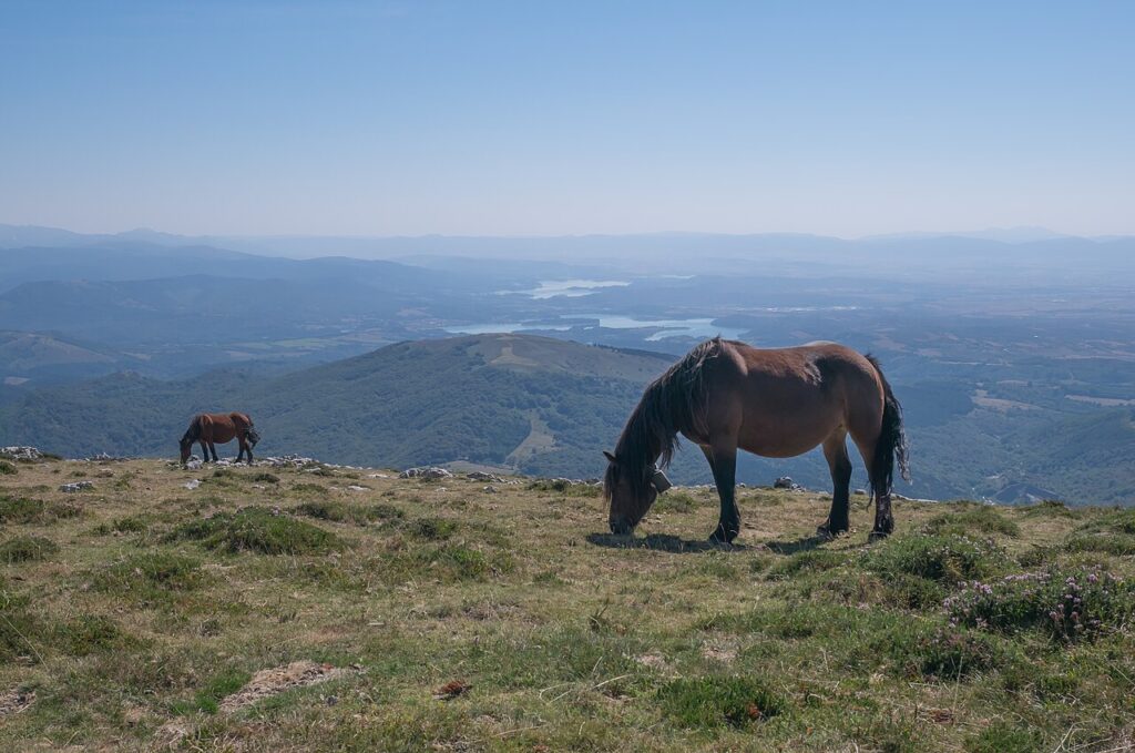 The Basque Country: Spain's Food and Mountain Region